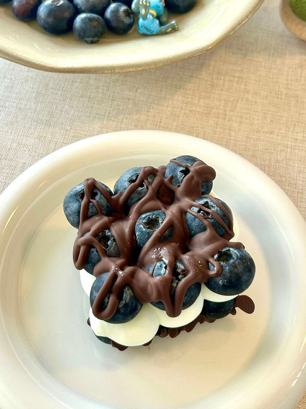 Blueberry Yogurt Chocolate Bites
